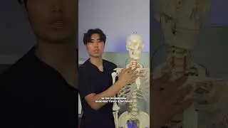 Шея уехала вперед / Компьютерная шея