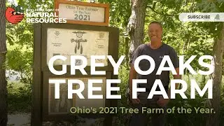 Grey Oaks Tree Farm: 2021 Ohio Tree Farm of the Year