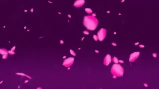 Free  Pink Petals 💚 Background no copyright