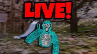 Gorilla Tag with Veiwers!