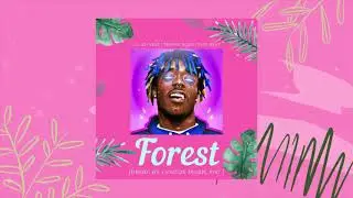 Trippie Redd X Lil Uzi Vert | Type Beat | 