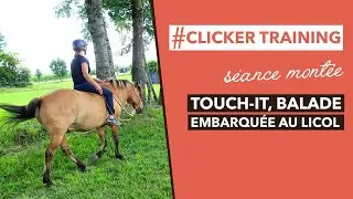 Clicker Training avec mon cheval : 