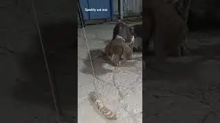 The first Training