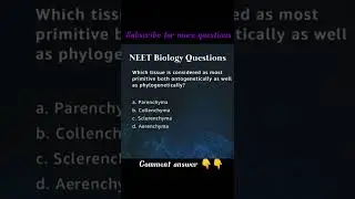 Subscribe for more questions