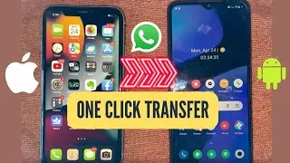 How to transfer WhatsApp data between iPhone and Android 2023