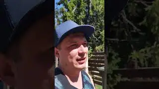 Крючек помощи в каждый двор!