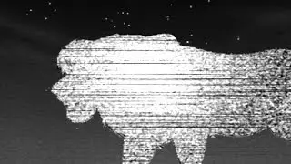 Hey murderer - Half Moon Run.