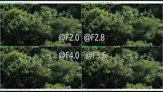 Lens Test:Laowa 7.5mm F2