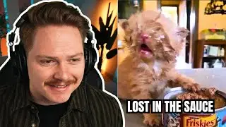 Don’t Laugh Challenge - Unusual Memes 💀