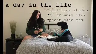 A Day in the Life // Student-Dog Owner