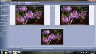 FotoMorph-PhotoImpact-Ulead Gif Animator Tutorial, Blüte in Bewegung
