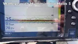 Walleye fishing with Humminbird Helix 5 Real Time Sonar