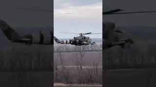 Бойова пташка