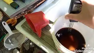 aminoasit + solucan gübresi özünün uygulaması hobi günlüğü 201