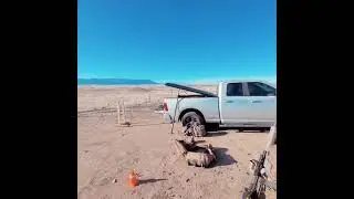 reactive doubles at 100 yds. on c-zone steel