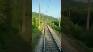 My Way