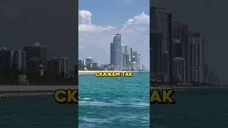 Чем заняться в Майами?