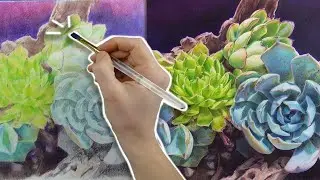 I'm SEEING GREEN! How To Draw Succulents with COLORED PENCIL.