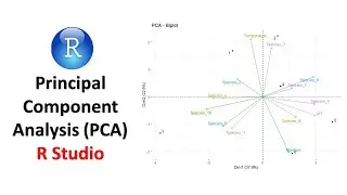 Principal Component Analysis (PCA) in R | Data Visualization