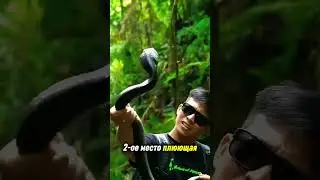 Топ 5 Существ, к которым ОПАСНО приближаться