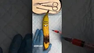 Goodland | Banana Surgery 😧