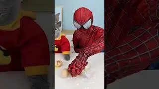 Who Eventually Won This Exciting Egg Challenge?😳