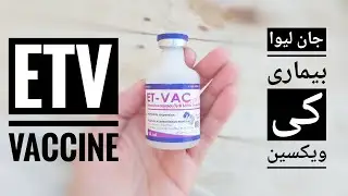 ETV Vaccine Price, Symptoms, Dosage Details in Urdu / Hindi Enterotoxemia Goats Disease Vaccination