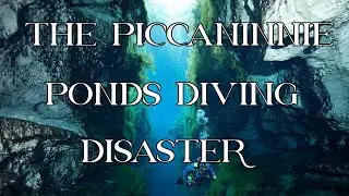 The Piccaninnie Ponds Cave Diving Disaster