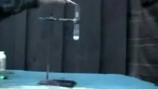 Gummi Bear Sacrifice