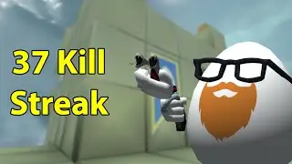 37 Kill Streak! | Shell Shockers