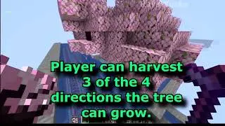 AFK Cherry Blossom Leaves Farm 2,000hr [STILL WORKS]_R
