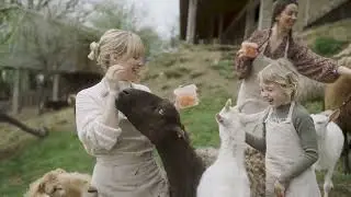 The Fascinating World of Goats 🐐