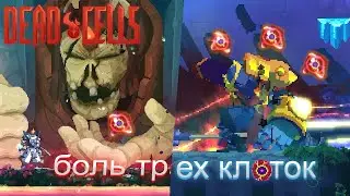 ТРИ ГИГАНТСКИХ КЛЕТКИ!