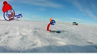 🎣 Winter Outdoor Sports 🏋️‍♀️