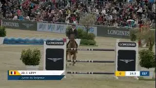 JUNIOR DU SEIGNEUR (ETERNITY DU SEIGNEUR x DIAXA DU SEIGNEUR)