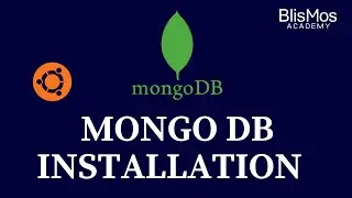 How to install Mongo DB?