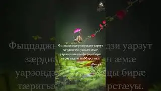 Фыццаджыдӕр кӕрӕдзи уарзут зӕрдиагӕй...   