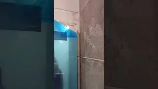 крыса выжидает. заказчик задерживает зарплату