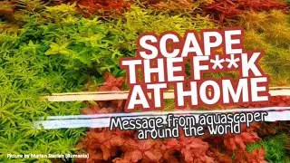 MESSAGE FROM AQUASCAPER Around the World