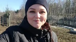 ПРИВЕТ ВЕСНА 🌸 ЧТО СОХРАНИЛОСЬ ПОСЛЕ ЗИМЫ. У НАС КОТЯТА🐈‍⬛🐈🐈‍⬛🐈