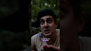 ТАЙНЫЙ ЛЕС 6 ❌ Лучший комментарий закреплю