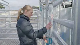 Working Safely with Cattle - Yard Maintenance | It's the least I can do
