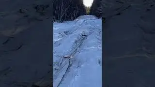 Лесная дорога Малое Голоустное- Бугульдейка