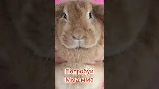 ДЖАГА ДЖАГА ❤️