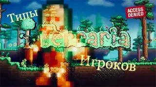 Типы игроков в террарии!