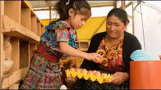 You Gave Chickens for This Family's Livelihood!