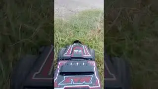 Car Race in Grass