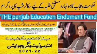 Peef Scholarship for KPK Students 2022 || Matric/Intermediate || How to Apply l Fata Students