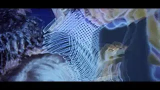 La Banda del Bisonte - Ruido al aire (Video Oficial)