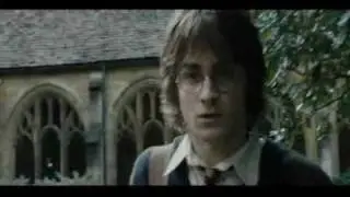 I May Lose Everything  (Ministry of Magic)